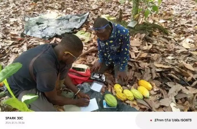 SOUTIEN AU PROJET CRAFT SUR LE CACAO